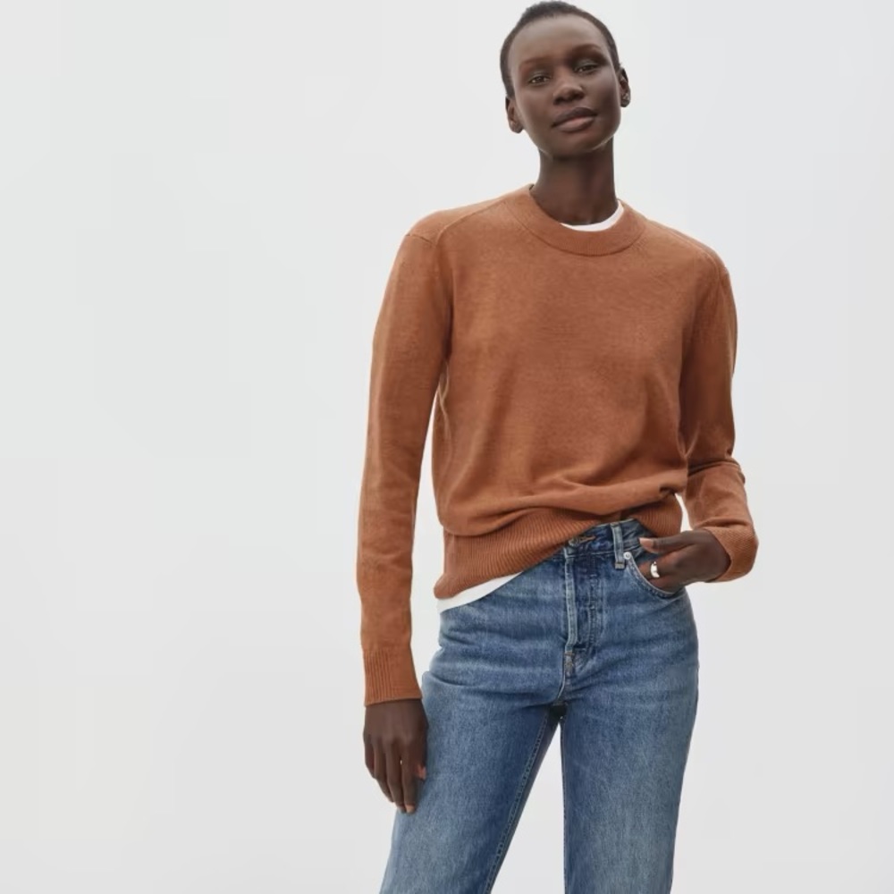 Everlane Cashmere Crew Neck Sweater